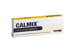 Riemser CALMIX Calciumhydroxidpaste
